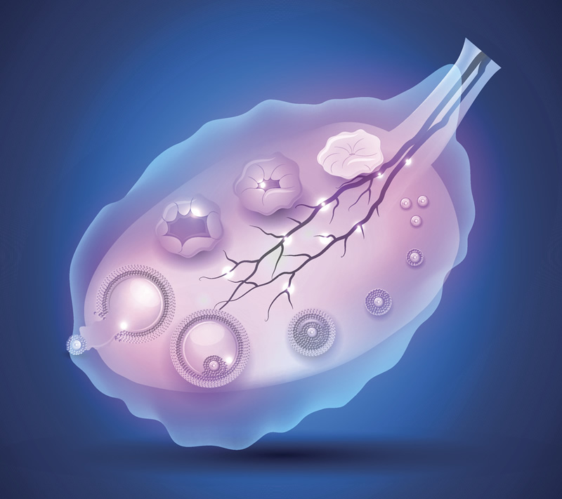 2026年海口始基子宫试管医院排名前五发布：市医院、总医院等专业生殖中心实力解析与费用指南